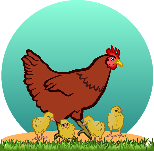 1 Adet Tavuk Nugget Kaç Kalori? 1 Adet Tavuk Nugget Kaç Kalori?