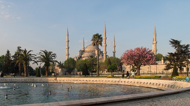Cide İstanbul Arası Kaç Km? Cide İstanbul Arası Kaç Km?