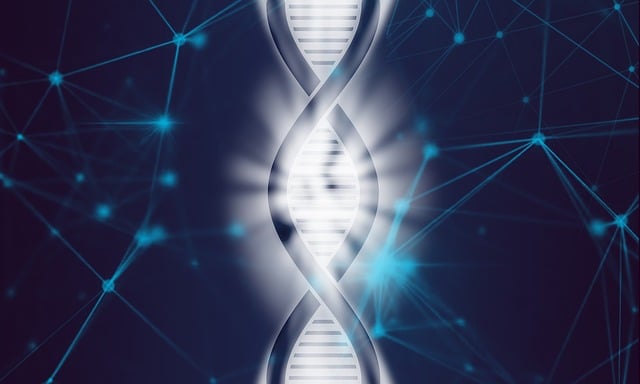Genetik Test Heterozigot Nedir?