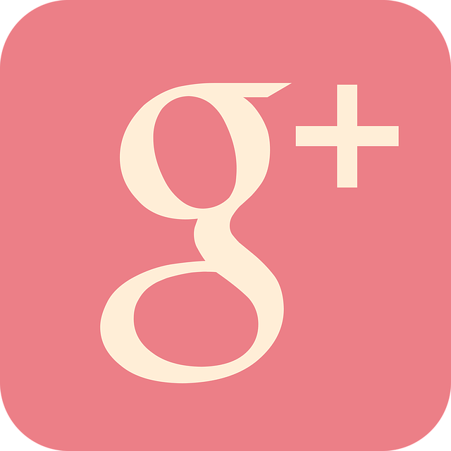 Google Değeri Nedir?