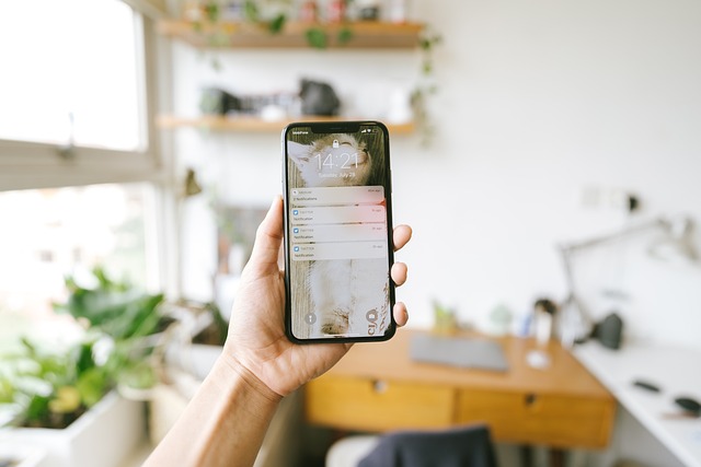 İçine Telefon Konulan Pirinç Yenir Mı?