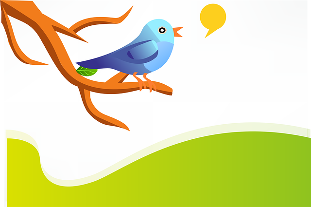 Telefondan Twitter Hesabı Nasıl Silinir?