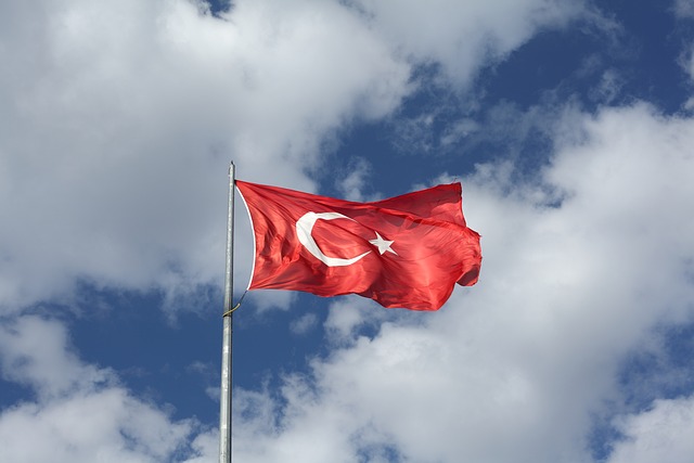 Türk Silahlı Kuvvetleri Ne İş Yapar? Türk Silahlı Kuvvetleri Ne İş Yapar?