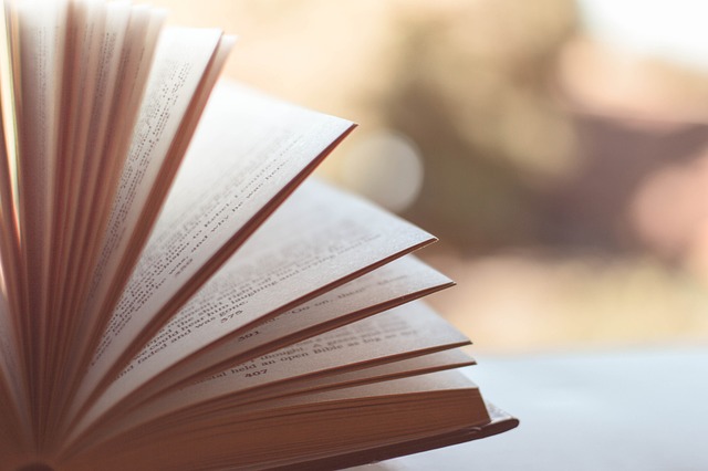Z Kitap Ücretsiz Mi? Z Kitap Ücretsiz Mi?